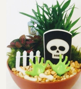 Scary Dish Garden Assortment in Plastic Bowls